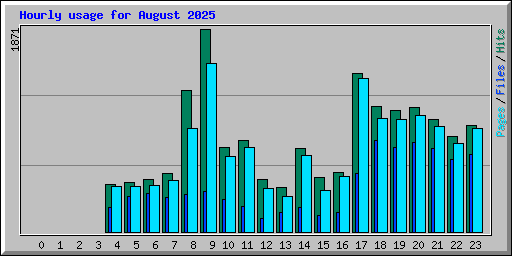 Hourly usage for August 2025